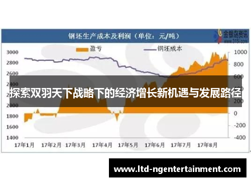 探索双羽天下战略下的经济增长新机遇与发展路径