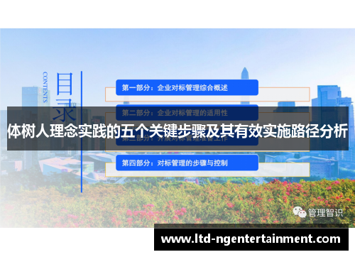 体树人理念实践的五个关键步骤及其有效实施路径分析