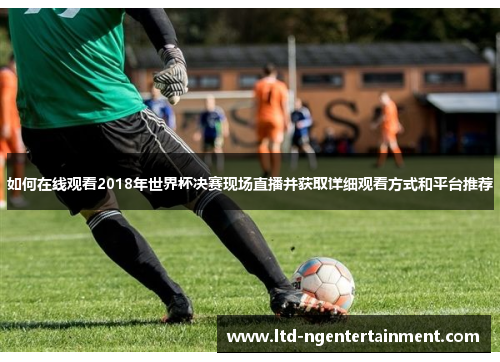 如何在线观看2018年世界杯决赛现场直播并获取详细观看方式和平台推荐