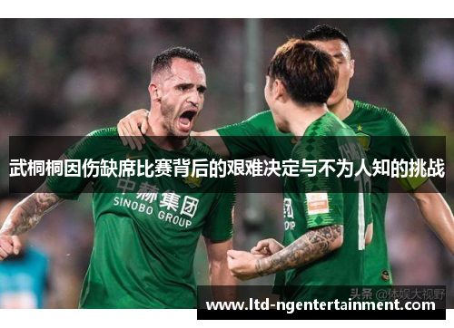 武桐桐因伤缺席比赛背后的艰难决定与不为人知的挑战