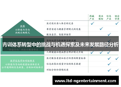 青训体系转型中的挑战与机遇探索及未来发展路径分析 青训体系转型中的挑战与机遇探索及未来发展路径分析