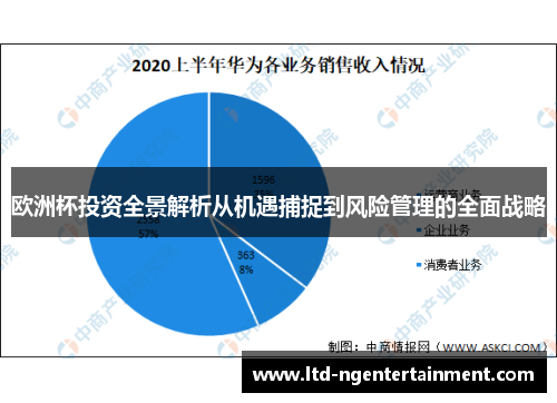欧洲杯投资全景解析从机遇捕捉到风险管理的全面战略
