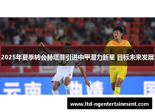 2025年夏季转会赫塔菲引进中甲潜力新星 目标未来发展 2025年夏季转会赫塔菲引进中甲潜力新星 目标未来发展