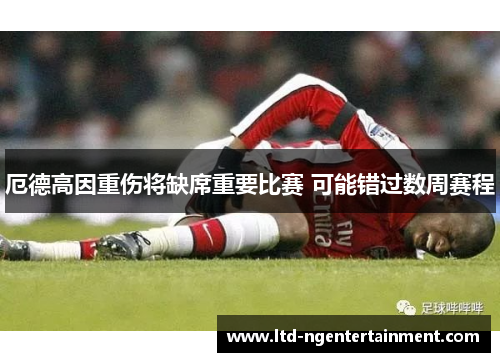 厄德高因重伤将缺席重要比赛 可能错过数周赛程