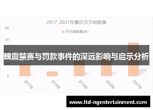 魏震禁赛与罚款事件的深远影响与启示分析