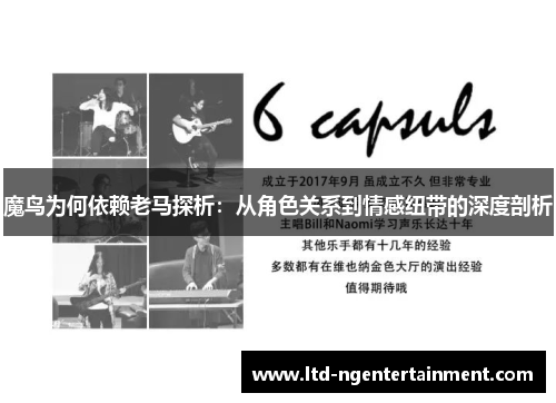 魔鸟为何依赖老马探析：从角色关系到情感纽带的深度剖析