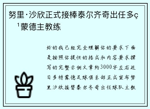 努里·沙欣正式接棒泰尔齐奇出任多特蒙德主教练