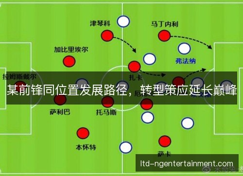 某前锋同位置发展路径，转型策应延长巅峰